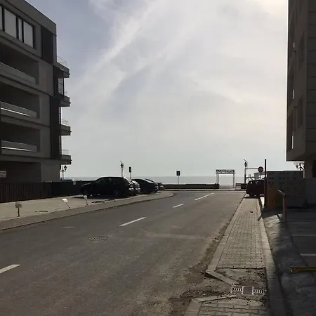 Apartament De Lux ,La Parter,In Cadrul Ansamblului Rezidential Delfinul 1 Apartment